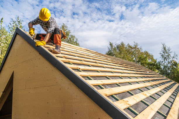 Best Metal Roofing Contractor  in Chapel Hill, NC