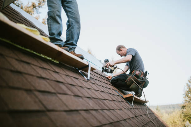 Quick and Trustworthy Emergency Roof Repair Services in Chapel Hill, NC